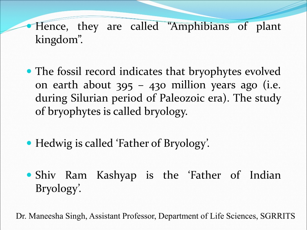 PPT - Bryophytes Amphibians of plant kingdom PowerPoint Presentation