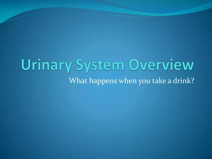 PPT - Urinary System Overview PowerPoint Presentation, Free Download ...