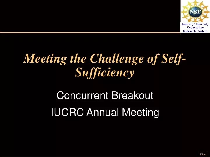 meeting the challenge of self sufficiency n.