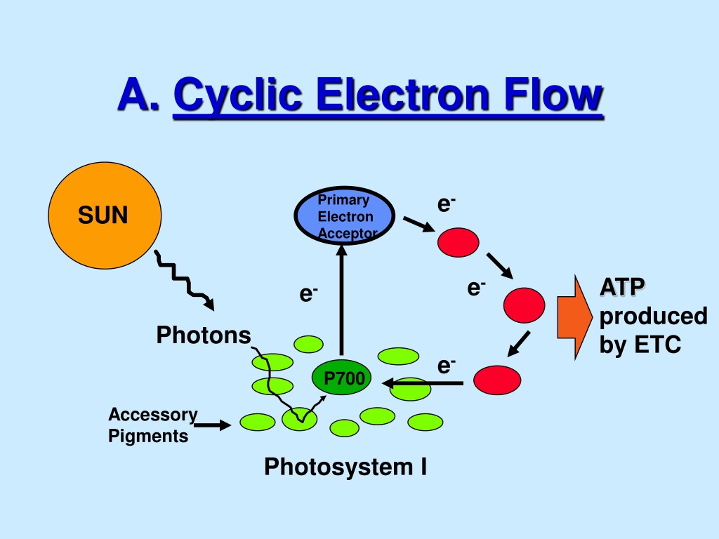 Flow of Electrons.