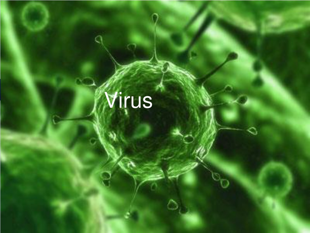 presentation about viruses