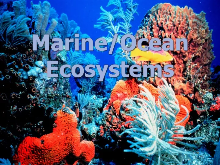 PPT - Marine/Ocean Ecosystems PowerPoint Presentation, free download ...