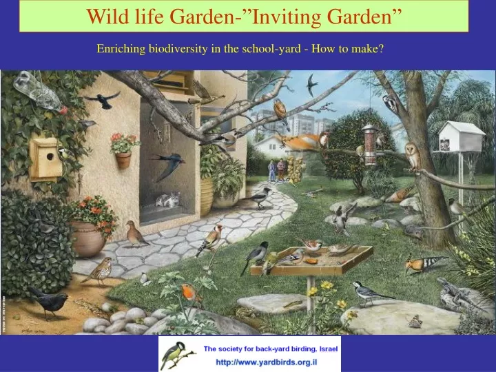 wild life garden inviting garden n.