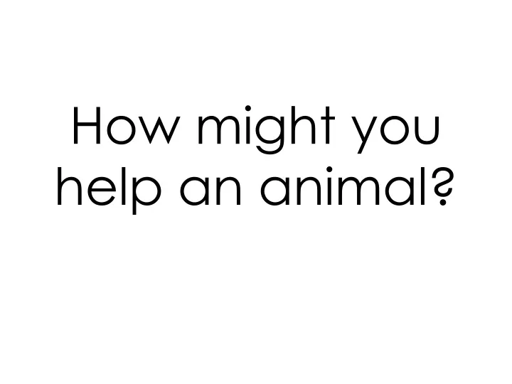 how might you help an animal n.
