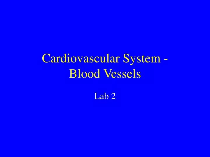 PPT - Cardiovascular System - Blood Vessels PowerPoint Presentation ...