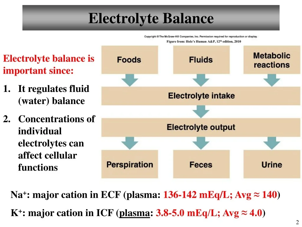 PPT Chapter 26 Fluid Electrolytes And Acid Base Balance Lecture 17 PPT Chapter 26 Fluid Electrolytes And Acid Base Balance Lecture 17