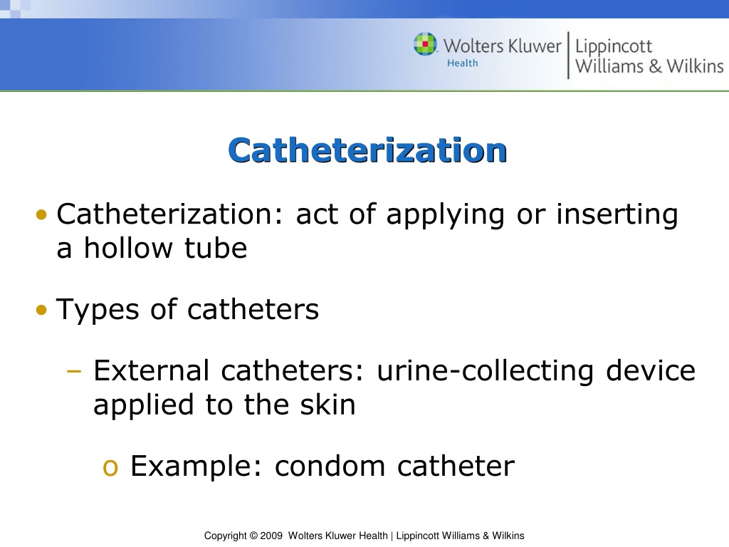 PPT - Chapter 30 Urinary Elimination PowerPoint Presentation, free ...