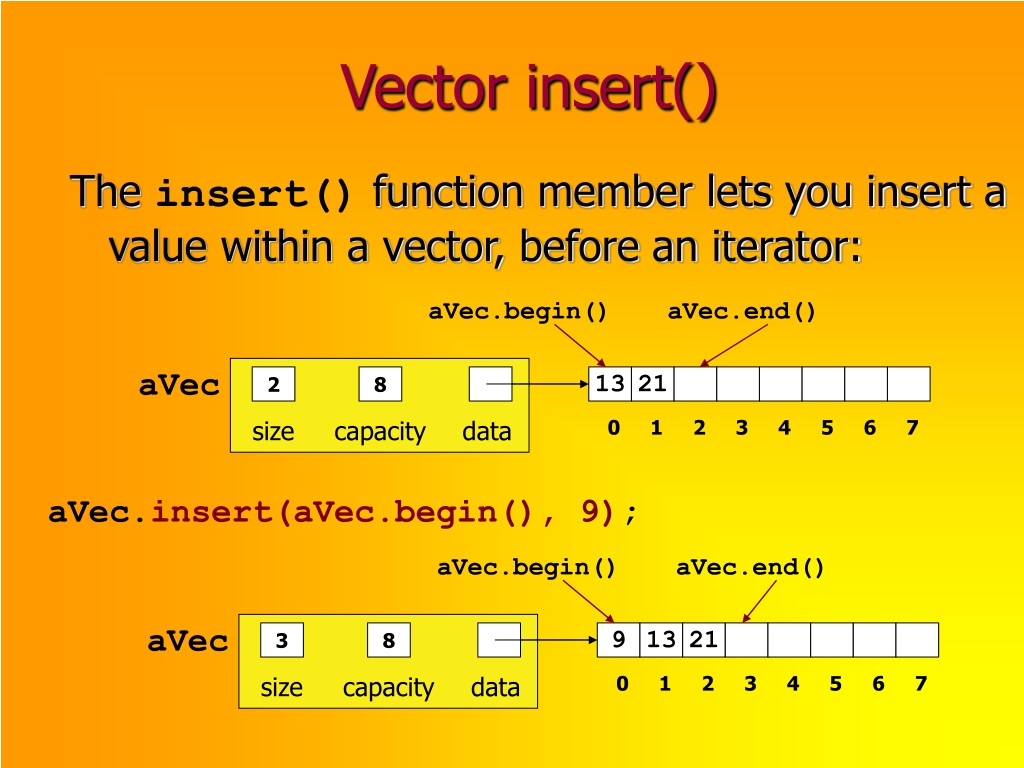 vector insert beginning