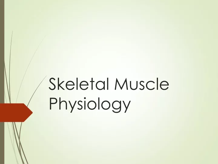 skeletal muscle physiology n.