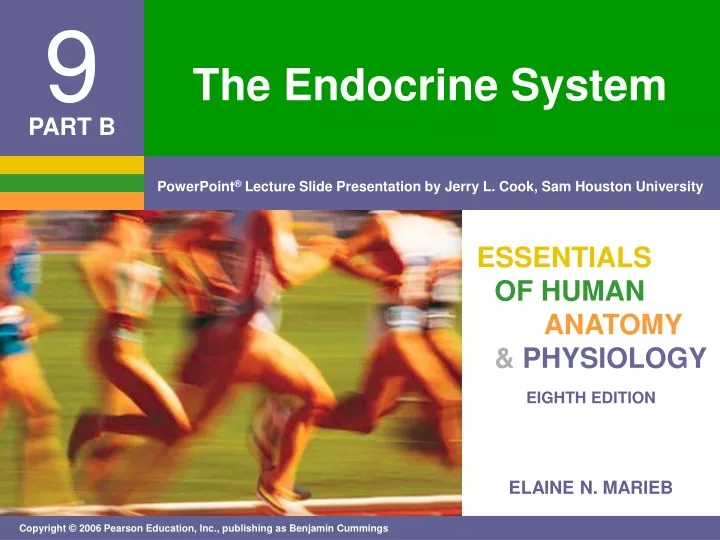 PPT - The Endocrine System PowerPoint Presentation, Free Download - ID ...