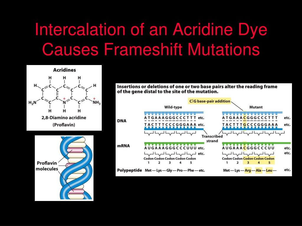 Ppt Cscl Centrifugation Of Dna Over Time Developed By Meselson And Stahl Powerpoint