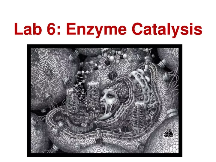 Ppt Lab 6 Enzyme Catalysis Powerpoint Presentation Free Download Id9584700 5272