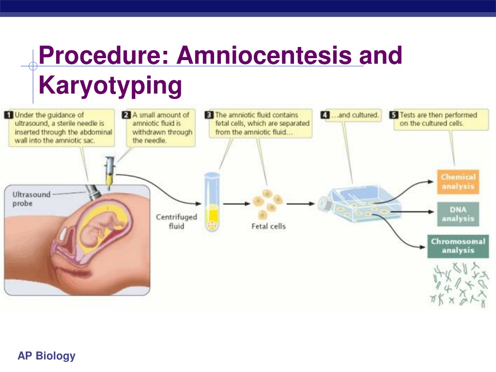 Ppt Meiosis And Sexual Reproduction Powerpoint Presentation Free Download Id 9584923