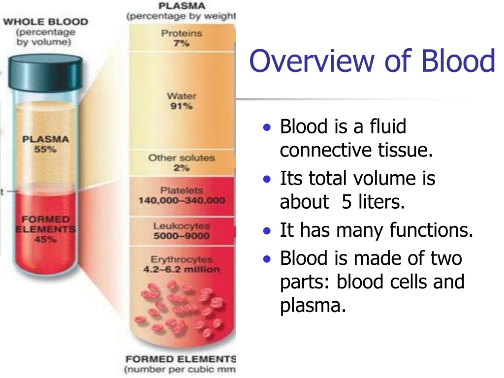 Blood function