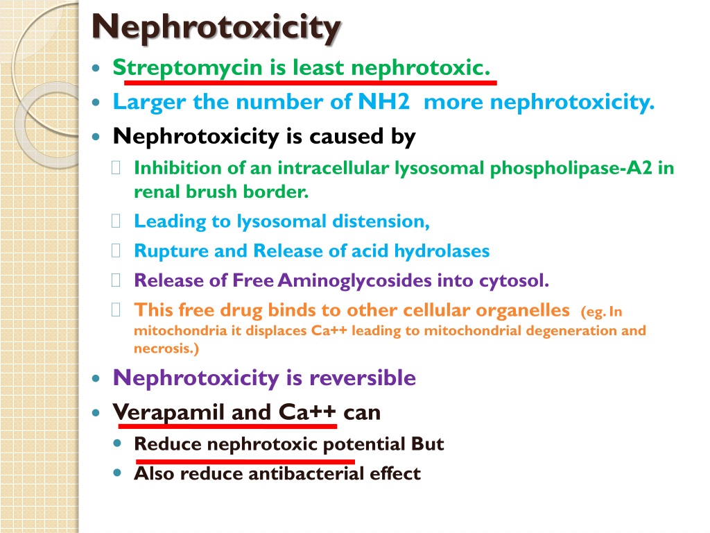 antibiotics that are not nephrotoxic