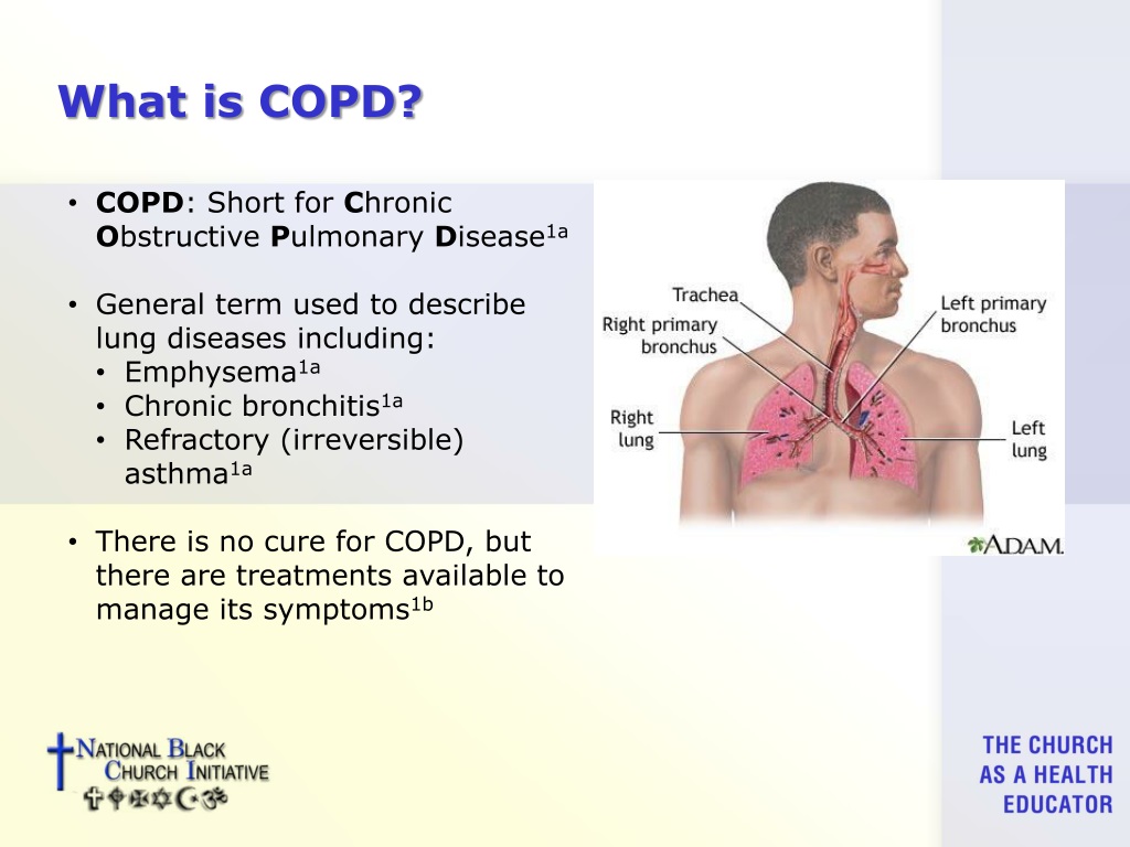 PPT - COPD Health Education PowerPoint Presentation, free download - ID ...