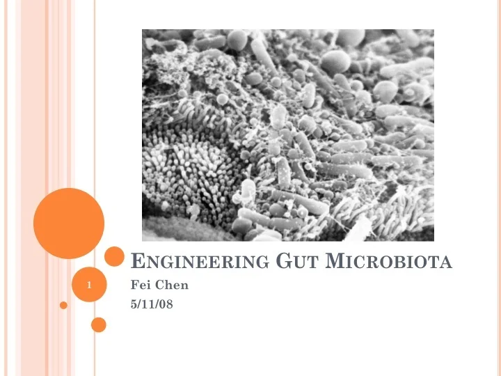 PPT - Engineering Gut Microbiota PowerPoint Presentation, free download ...