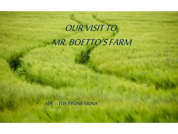 our visit to mr boetto s farm n.
