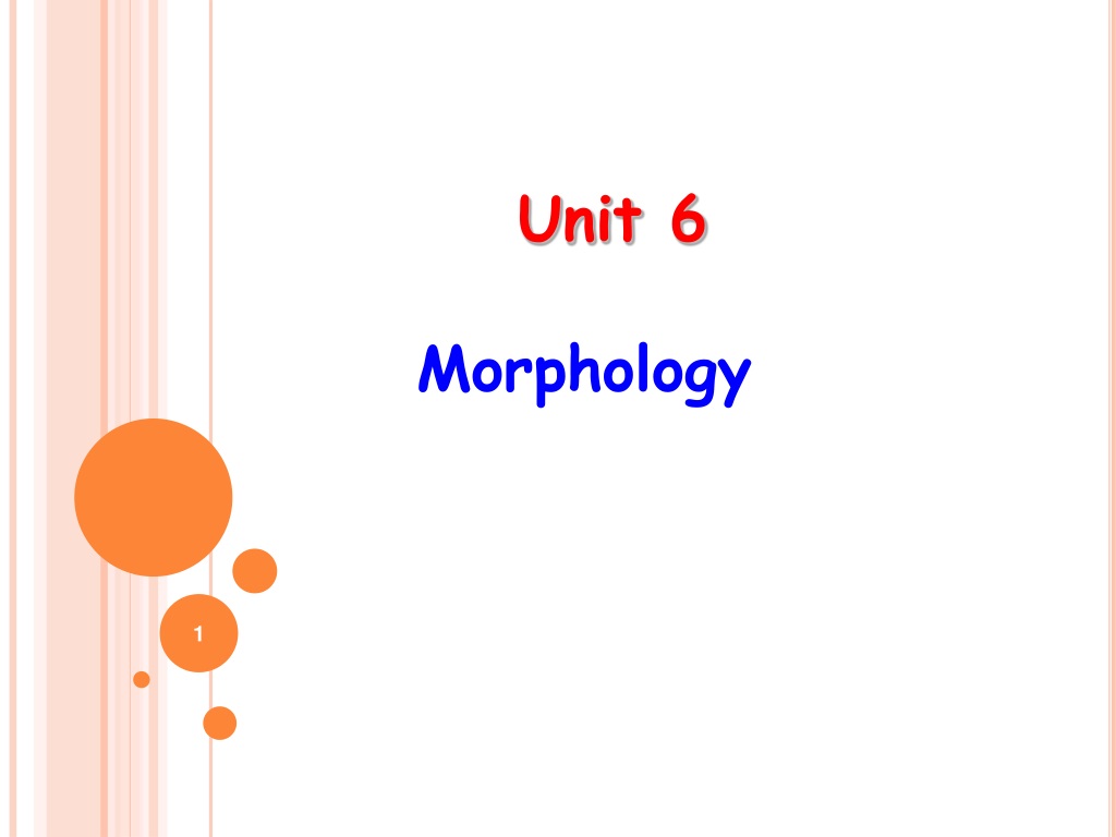 PPT - Unit 6 Morphology PowerPoint Presentation, Free Download - ID:9596434