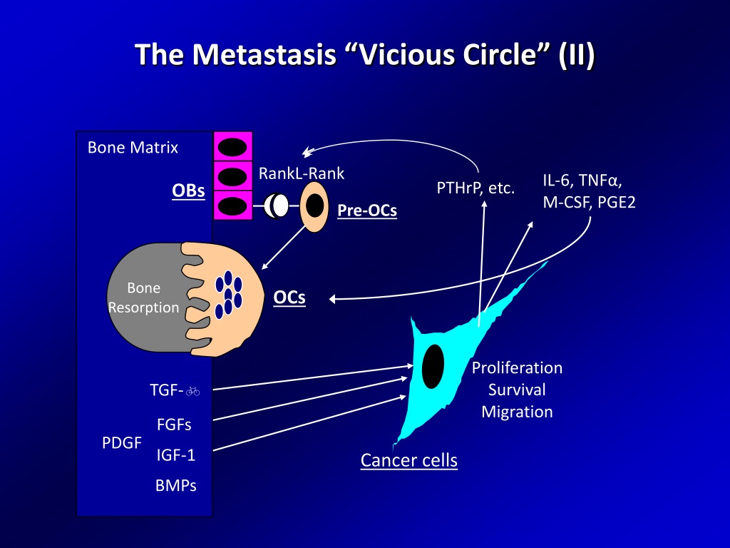 Ppt Bone Metastasis In Breast Cancer Molecular Pathogenesis