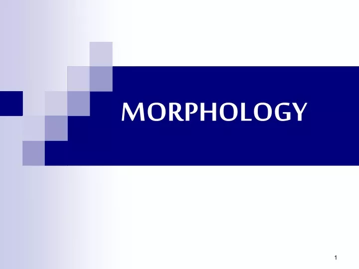 morphology ppt presentation download