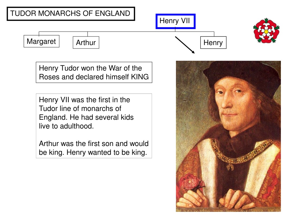 Henry vii online kids