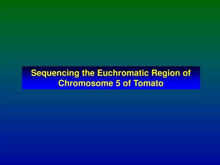 Ppt Sequencing The Euchromatic Region Of Chromosome 5 Of Tomato