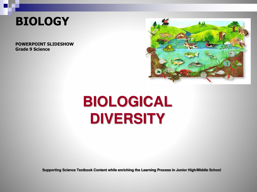 PPT - BIOLOGY POWERPOINT SLIDESHOW Grade 9 Science BIOLOGICAL DIVERSITY PowerPoint  Presentation - ID:9602914