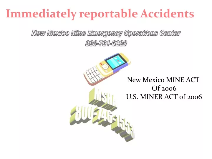 immediately reportable accidents n.