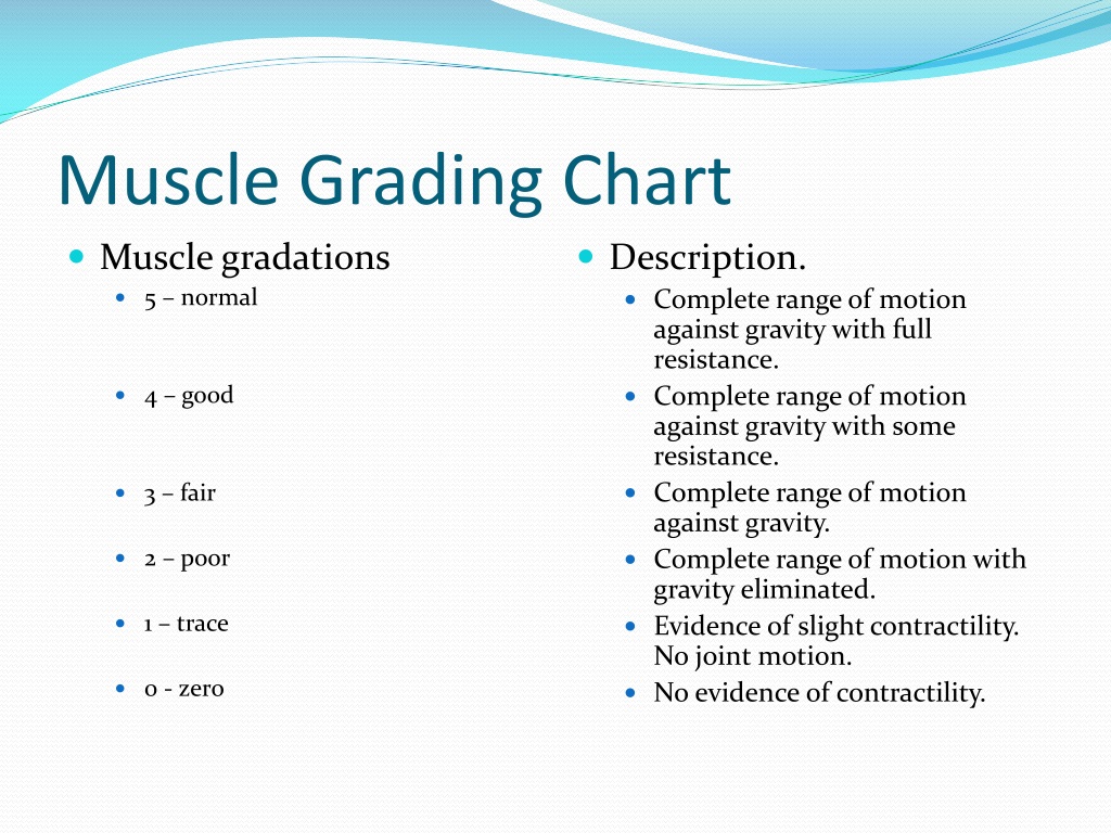 Grading Muscle Control Vrogue co