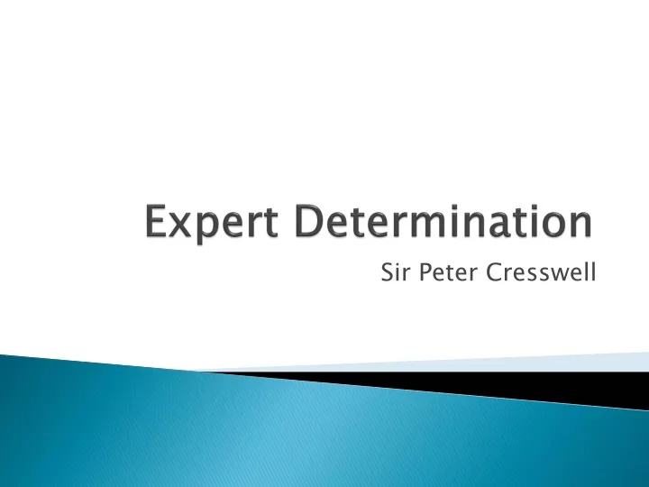expert determination n.