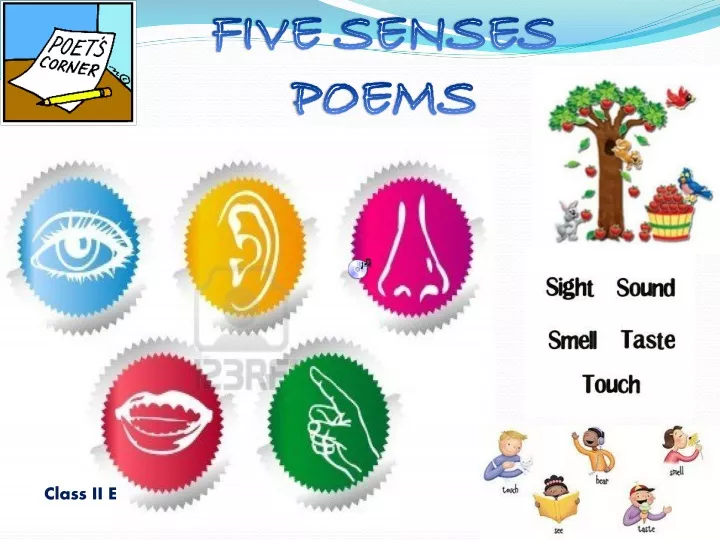 PPT FIVE SENSES POEMS PowerPoint Presentation, free download ID9611051