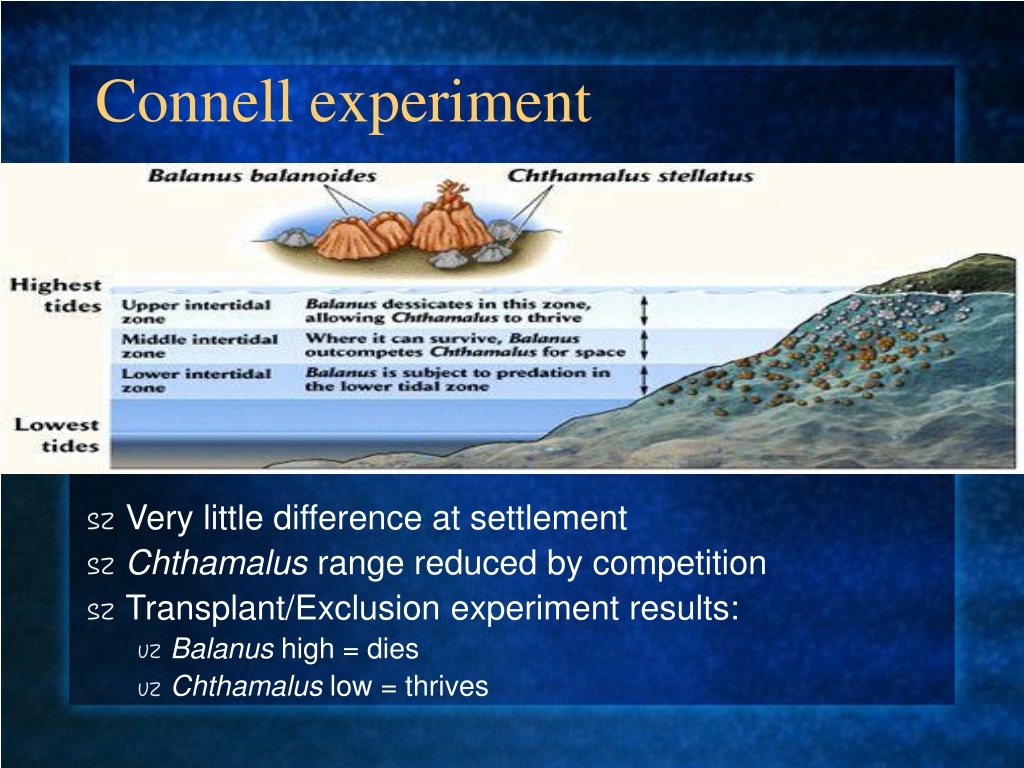 connell's elegant field experiment wikipedia