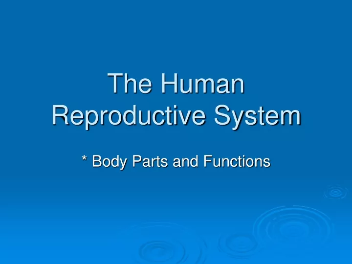 PPT - The Human Reproductive System PowerPoint Presentation, free ...