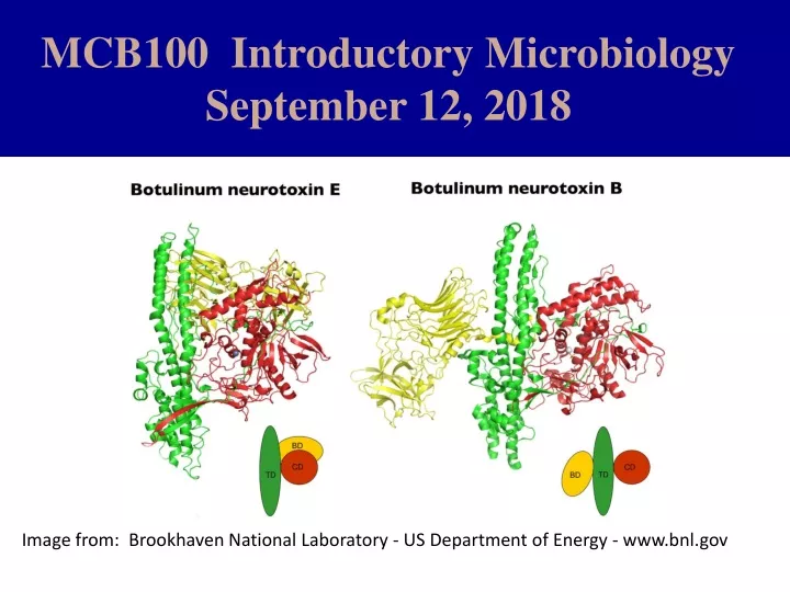 PPT - MCB100 Introductory Microbiology September 12, 2018 PowerPoint ...