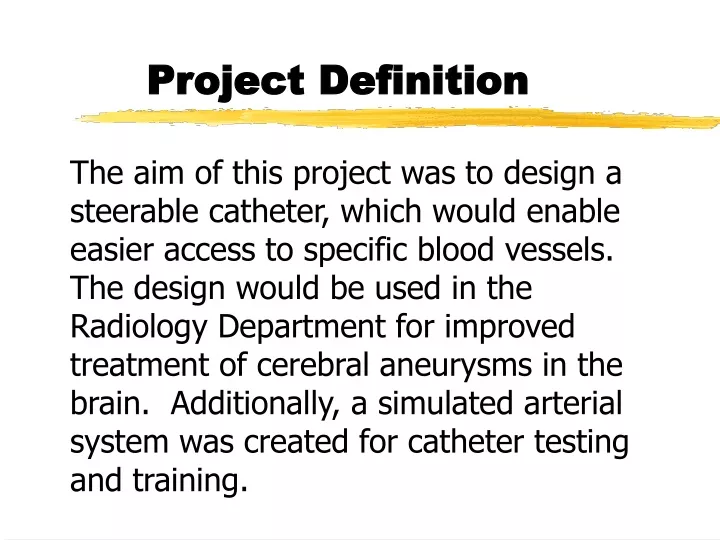 project definition n.