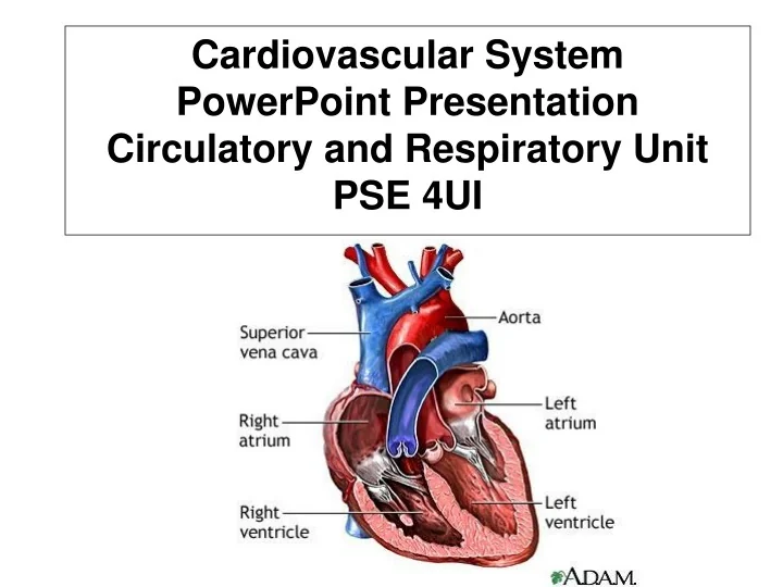 PPT - Cardiovascular System PowerPoint Presentation Circulatory and ...