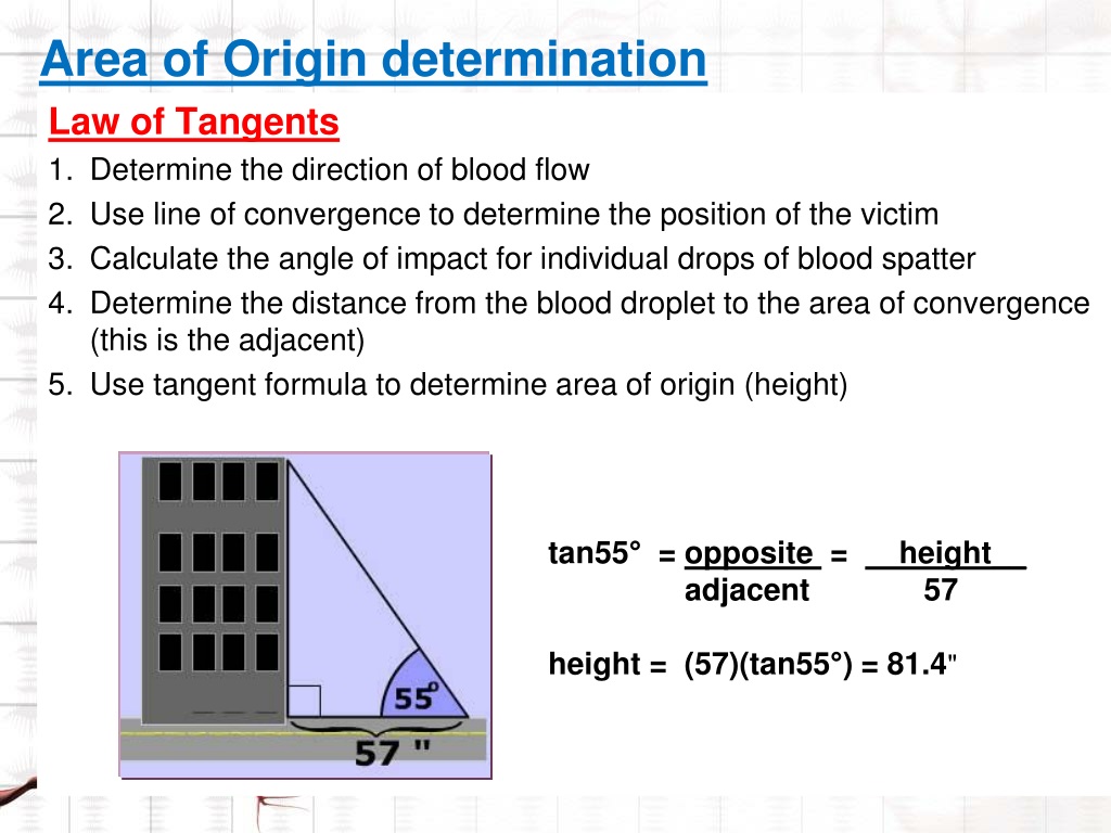 ppt-forensic-serology-powerpoint-presentation-free-download-id-9620505