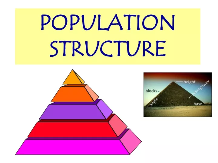 PPT   POPULATION STRUCTURE PowerPoint Presentation, Free Download   ID