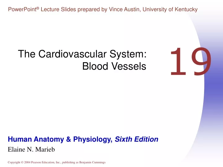 PPT - The Cardiovascular System: Blood Vessels PowerPoint Presentation ...