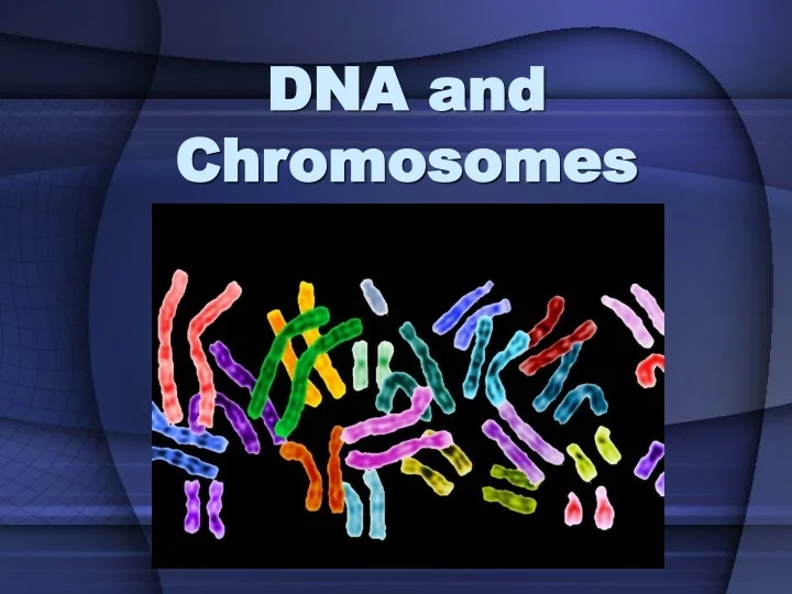 PPT - DNA and Chromosomes PowerPoint Presentation, free download - ID ...