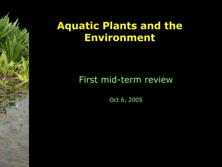 PPT Aquatic Plants and the Environment PowerPoint Presentation, free download ID9625525