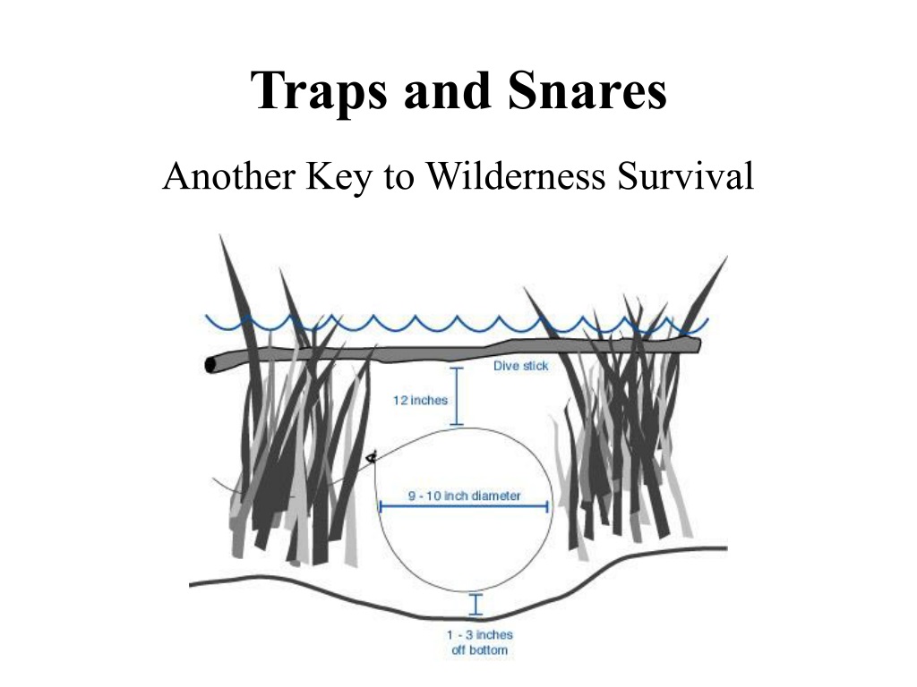 Snares and Traps for Survival Trapping