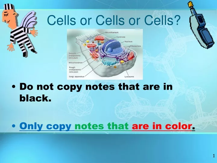 cells or cells or cells n.