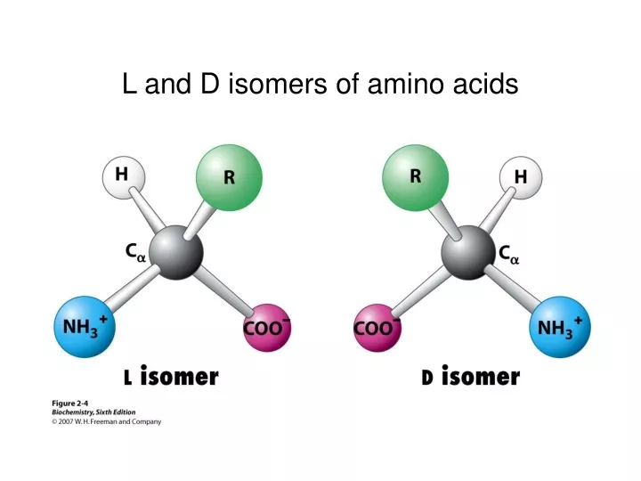 Ppt L And D Isomers Of Amino Acids Powerpoint Presentation Free Download Id9630276 3809