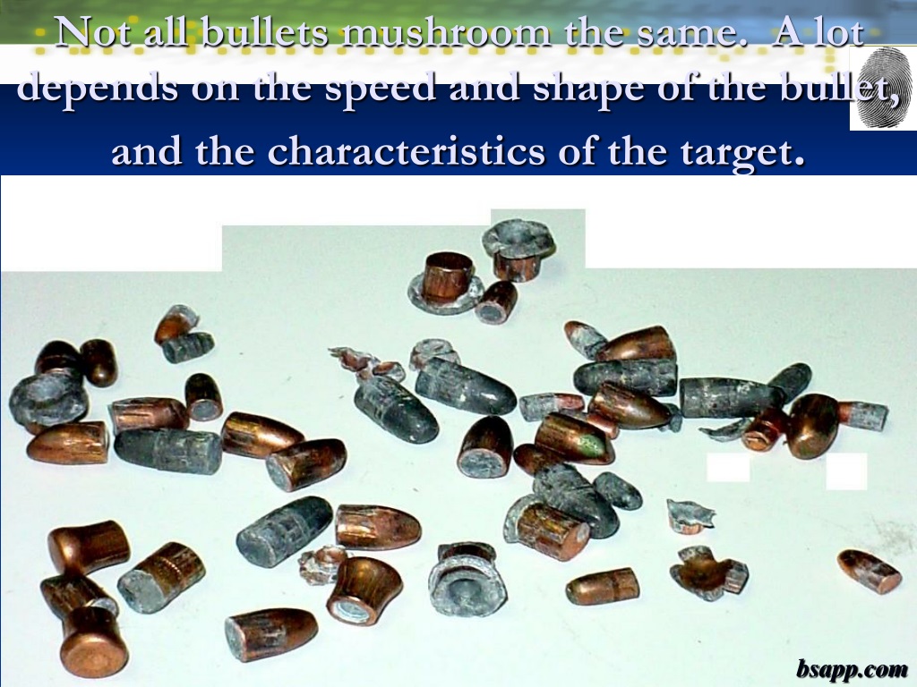 bullet fragments meaning