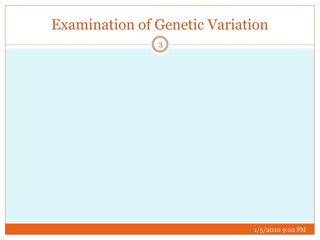 Ppt Genetic Variation Powerpoint Presentation Free Download Id9633179