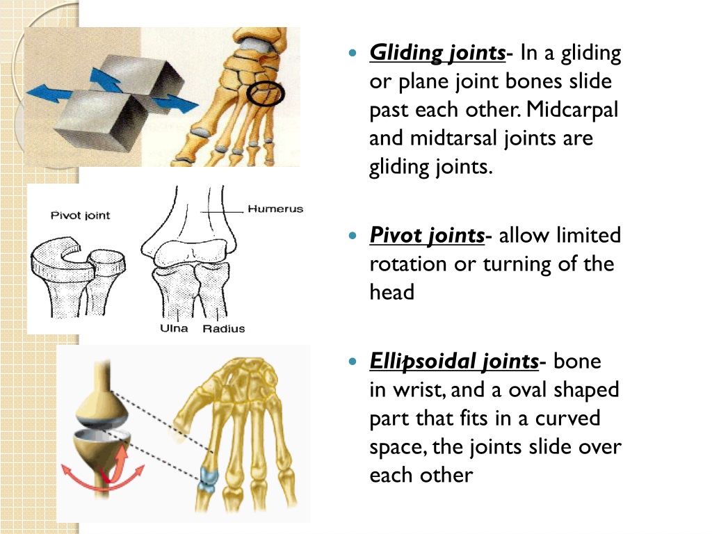 Gliding Joint Diagram