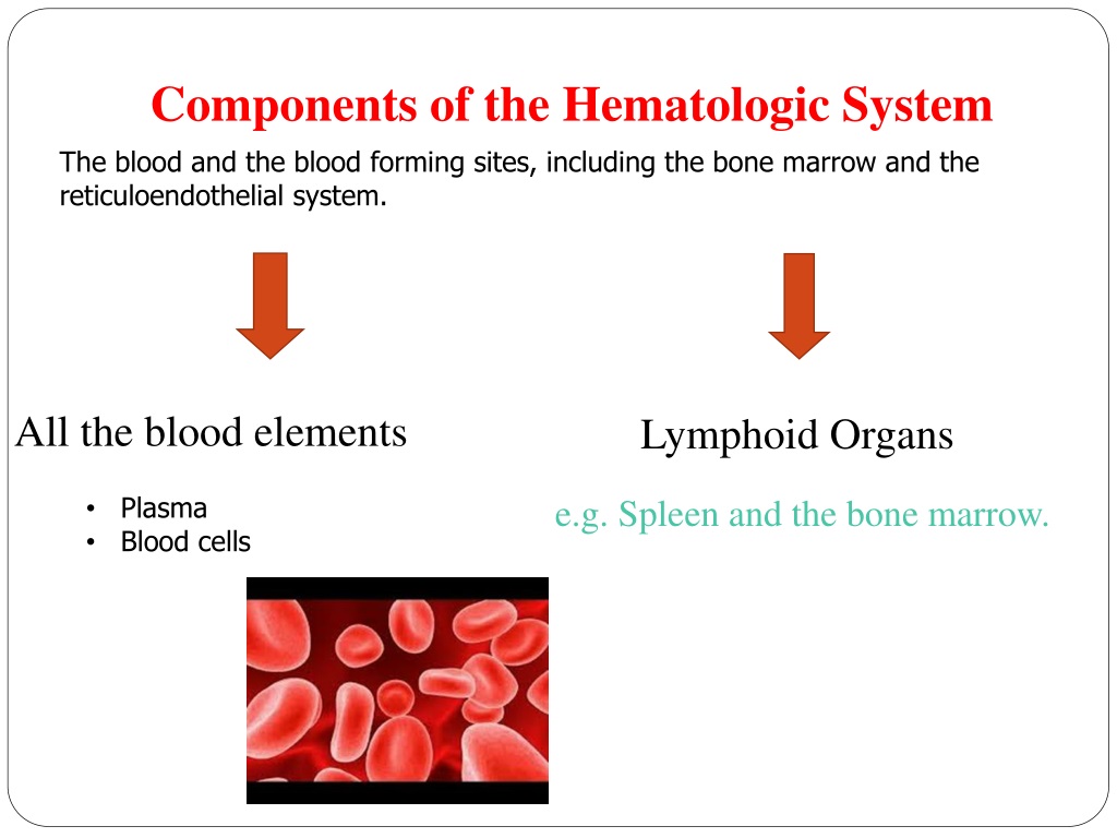 PPT - Pathophysiology Of Hematologic System Lecture #2 Sahar Al Hogail ...