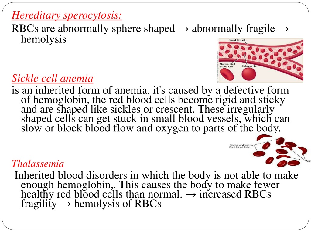 PPT - Pathophysiology Of Hematologic System Lecture #2 Sahar Al Hogail ...